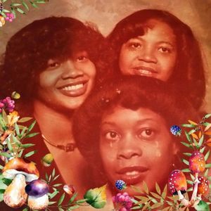 Meet your Posher, Betty